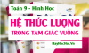Công thức hệ thức lượng trong tam giác vuông, tỉ số lượng giác của góc nhọn - Toán lớp 9